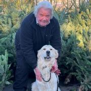 Allington Nursery owner Steve Goodridge with his dog Dexter.