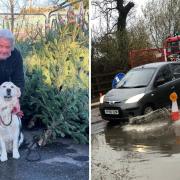 Allington Nursery owner Steve Goodridge is now refusing to let Southern Water workers on his property after two bouts of flooding.