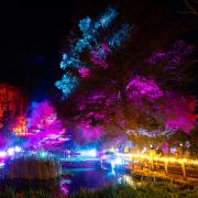 A sound and light show across the water at Hillier Gardens