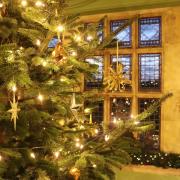 The Christmas tree at Palace House