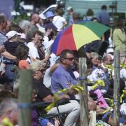 Studland Country Fair: Visitors packed round the arena to watch the display events.