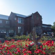 UoS Hartley Library in the summer