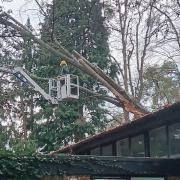 Tree surgeons pulled a tree off of Southampton Sight's charity hall roof on Monday December 9.