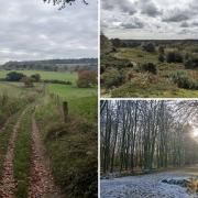 Hampshire has plenty of picturesque options for winter walks in the county