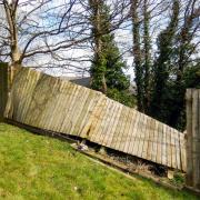When a fence falls over in your garden, you might wonder which neighbour is responsible for paying for the damage - here's what we know