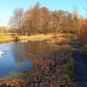 On the Bishopstoke to Brambridge hike