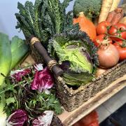 Locally grown veg from Hampshire Market Garden