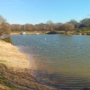 Setley Pond