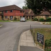 Willow Mead