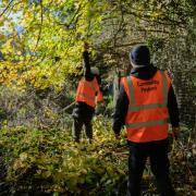 Community Payback (CP) offers a unique and fulfilling opportunity to support rehabilitation while giving back to the community.