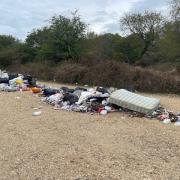 Heap of rubbish left in New Forest