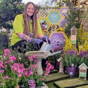 Kathryn Crouch, plant team leader at Haskins' Garden Centres