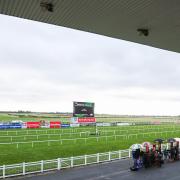 Fairyhouse was cancelled on Saturday (Evan Treacy/PA)