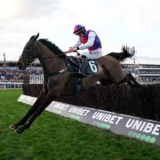 Haiti Couleurs won at Cheltenham (David Davies/PA)