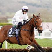 Absurde will have Harry Cobden on board (Mike Egerton/PA)