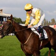 Kihavah ridden by jockey P J McDonald (Steve Welsh/PA)