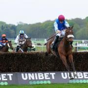 The Flier Begley was an easy winner (Ian Hodgson/PA)