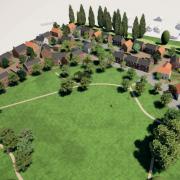 Plans to build 54 homes on a greenfield site in the New Forest have been given the green light