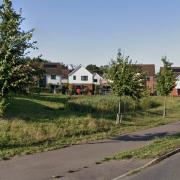 The pond off Barnfield Way, Hedge End