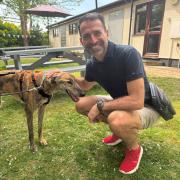 Franny Benali and Hero the rescue, who is currently up for rehoming