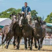 The three-day New Forest and Hampshire County Show more than 85,000 people