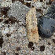 The fatberg was removed from sewers in Totton.