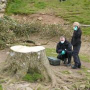 Forensic investigators from Northumbria Police examine the felled Sycamore Gap tree, on Hadrian’s Wall in Northumberland (Owen Humphreys/PA)
