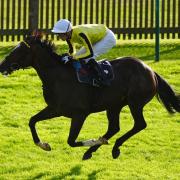 Burdett Road returns to the Flat at Sandown (Mike Egerton/PA)