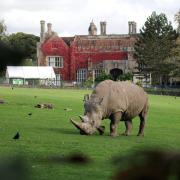 Marwell Zoo has become one of the first in the UK to achieve a national mark of excellence.