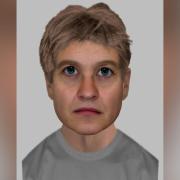 Hampshire police have released an e-fit of one of three men involved in a reportedly burglary in Fordingbridge.