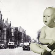 Montage for Shilling Fund story.