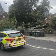 Tree fallen near Mayflower Theatre