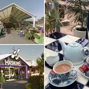 Brambridge Park Garden Centre and Mayfield Garden Centre are among the best-rated garden centres with a cafe near Southampton