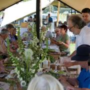 Salad making with Luke Holder at The Sping Table