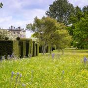 Hillier partners with The King’s Foundation to promote green education