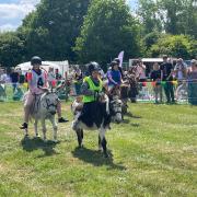 The Donkey Derby saw smiles all around