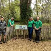 The 500-year-old Knightwood Oak now features new signage and seating