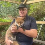 Steve Mason and fox Luther