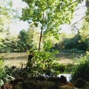 Victorian gardens at Holly Hill set for major restoration by Arkwood