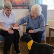 People at the charity's care and wellbeing centres enjoyed music and pet therapy sessions.