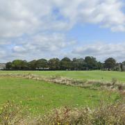 Alexandra Park, where the attack took place, according to Hampshire police.