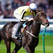 Wimbledon Hawkeye could miss Epsom in favour of Ascot (Mike Egerton/PA)