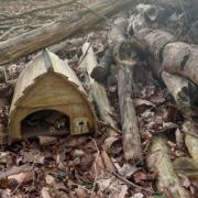 Romsey retirement village launches hedgehog-friendly 'Project Snuffle'