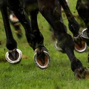 General view of horses hooves (Simon Cooper/PA)
