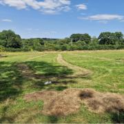 New meadows being created by Hampshire and Isle of Wight Wildlife Trust as part of the Species Survival Fund project