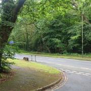 Highfield Road, which is connected to The Avenue, will close for carriageway patching.