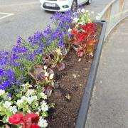 Flowers meant to commemorate VE and VJ day stolen from town centre