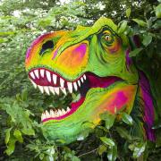 Enjoying Jurassic Furzey