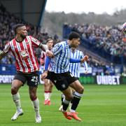 Saints midfielder was named Sheffield Wednesday's Player of the Year while on loan this season