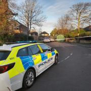 Two women fought to save a man’s life after he was stabbed in Netley, a court heard